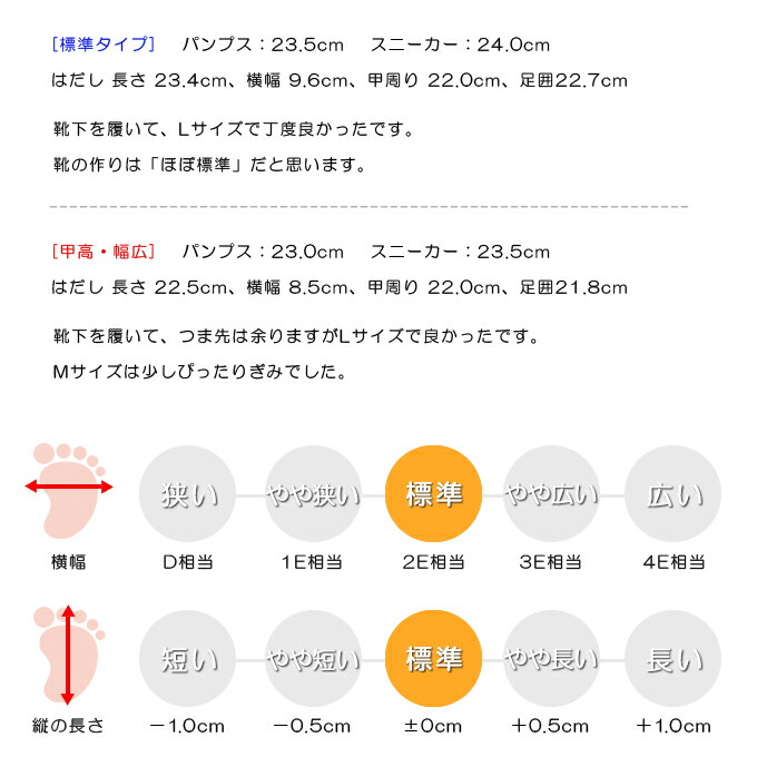 スタッフの感想