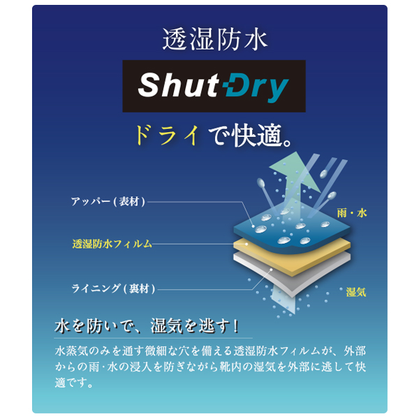 ムーンスター EVE 317 イブ レディース スリッポン コンフォートシューズ 婦人靴 防水スニーカー 4E 幅広｜superfoot｜08