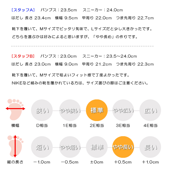 スタッフの感想