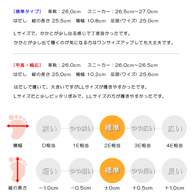 スタッフの感想