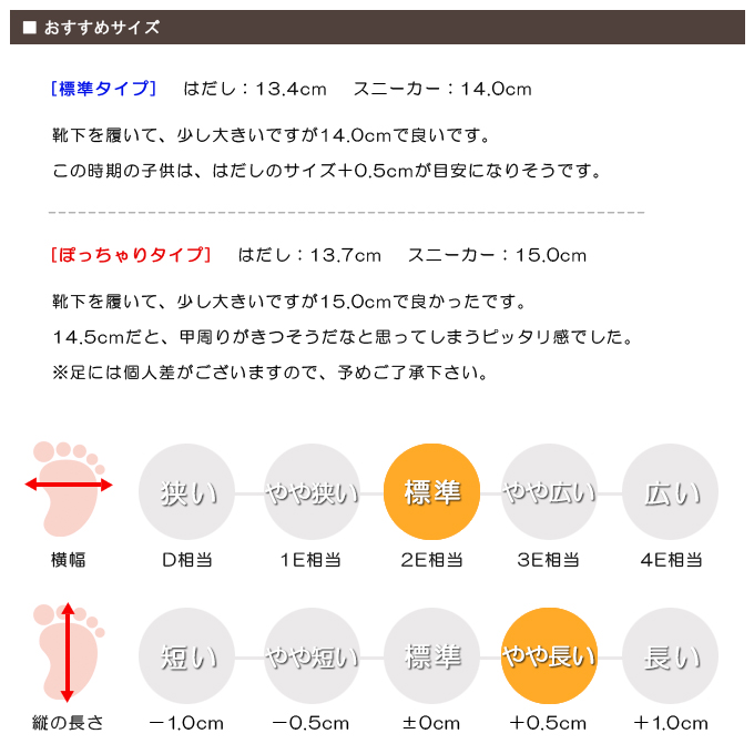スタッフの感想