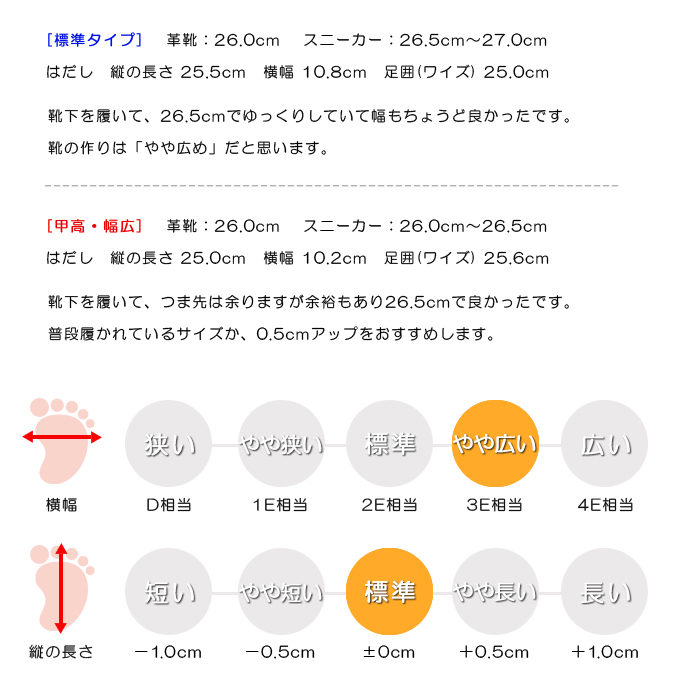 スタッフの感想