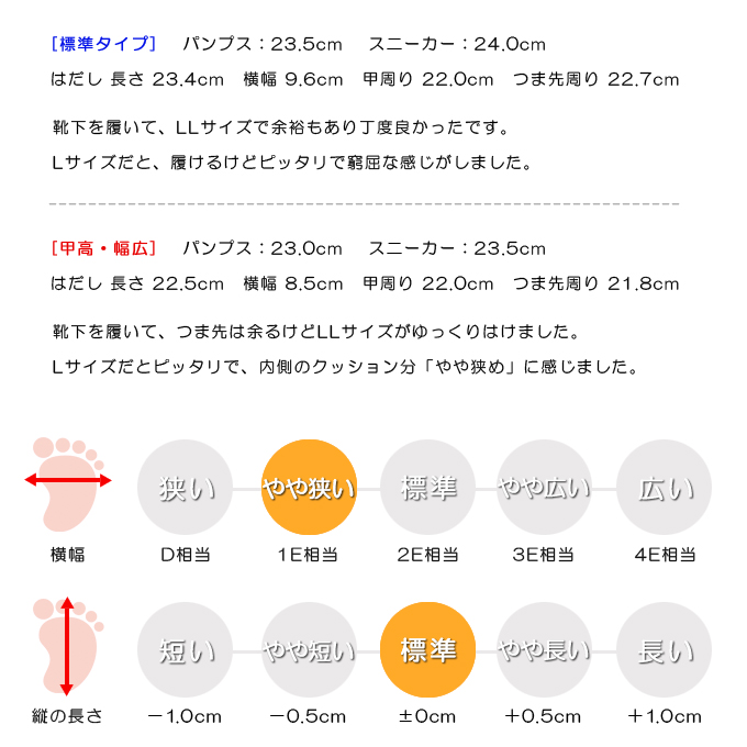 スタッフの感想
