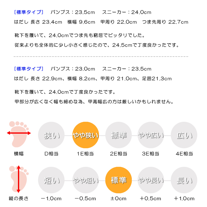 スタッフの感想