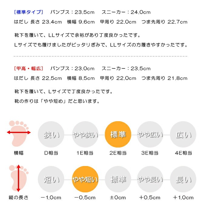 スタッフの感想