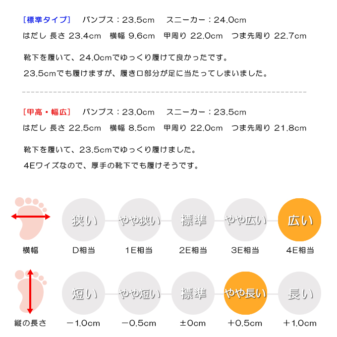 スタッフの感想