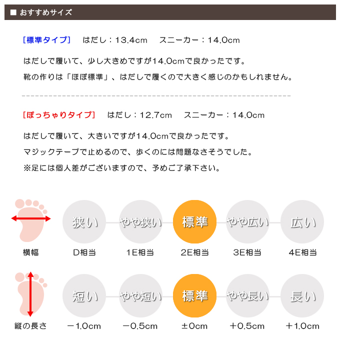 スタッフの感想