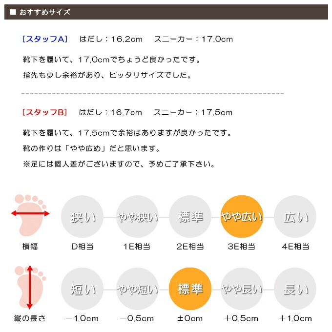 スタッフの感想