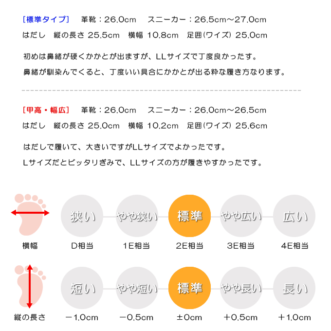 スタッフの感想