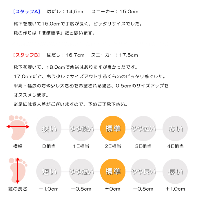 スタッフの感想