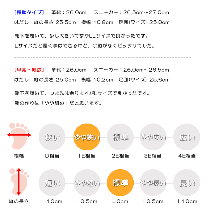 スタッフの感想