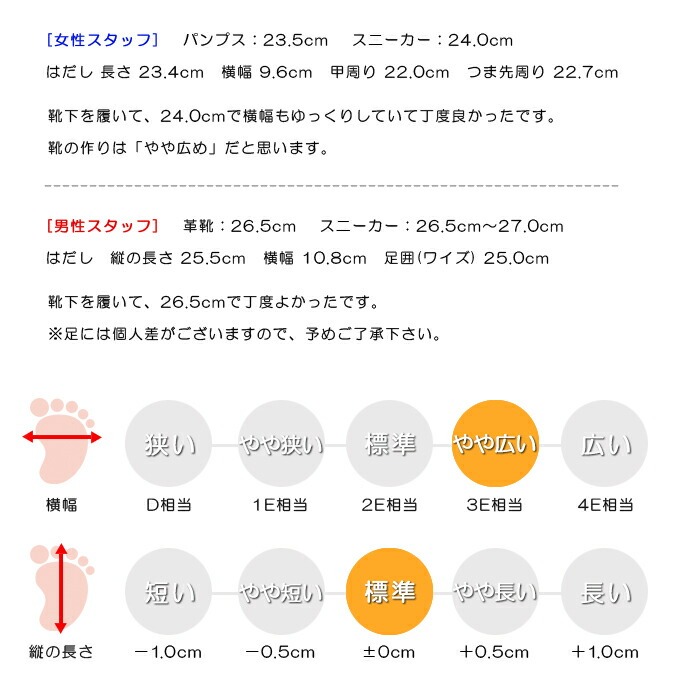スタッフの感想