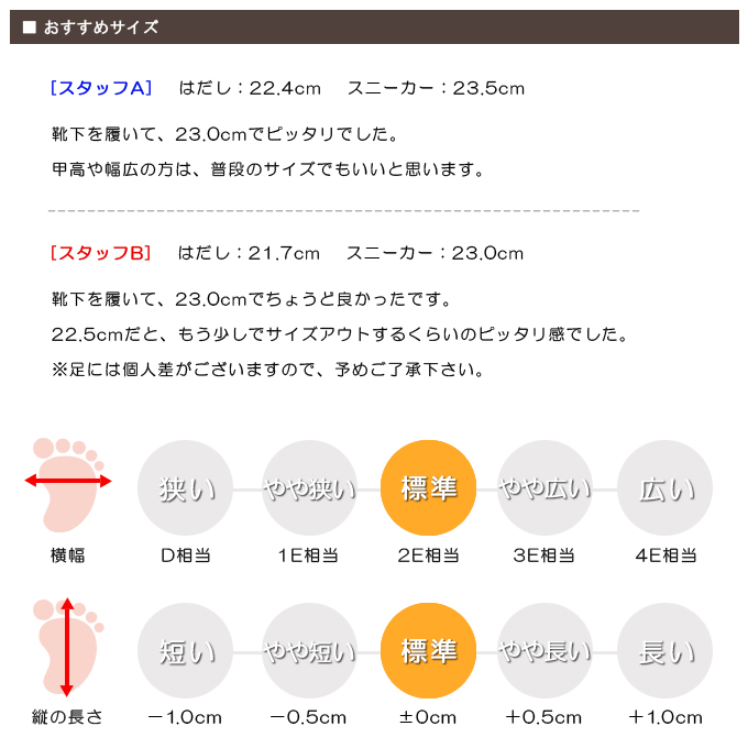 スタッフの感想