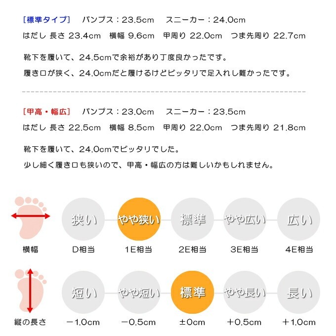 スタッフの感想