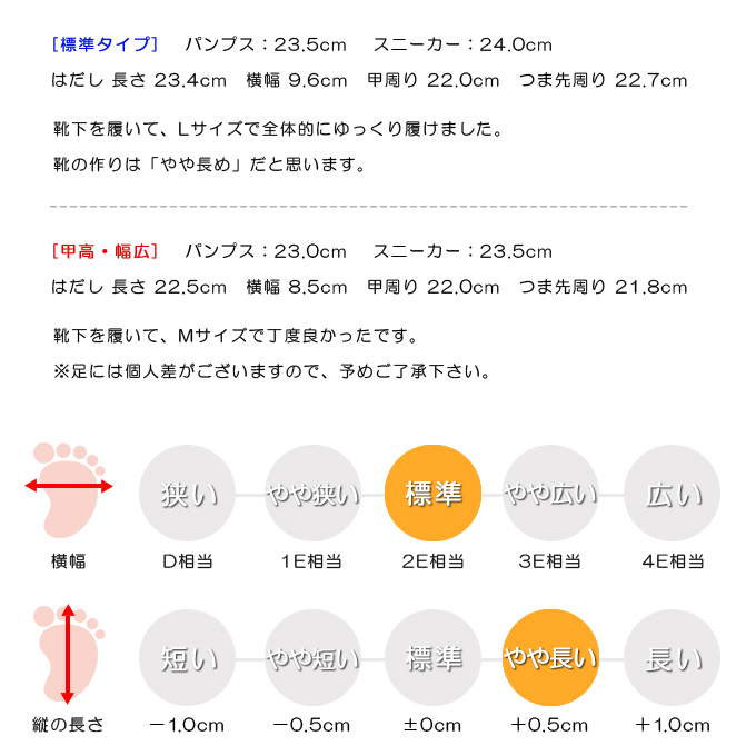 スタッフの感想