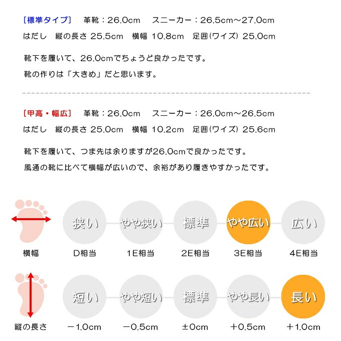 スタッフの感想