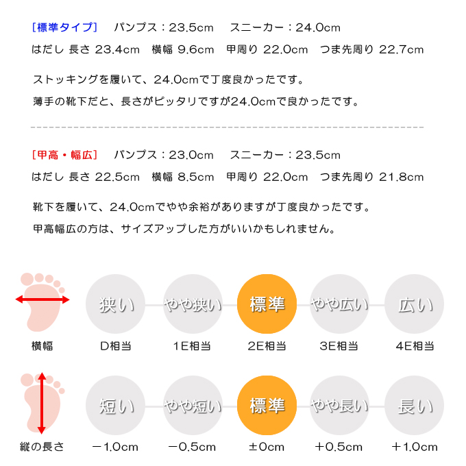 スタッフの感想