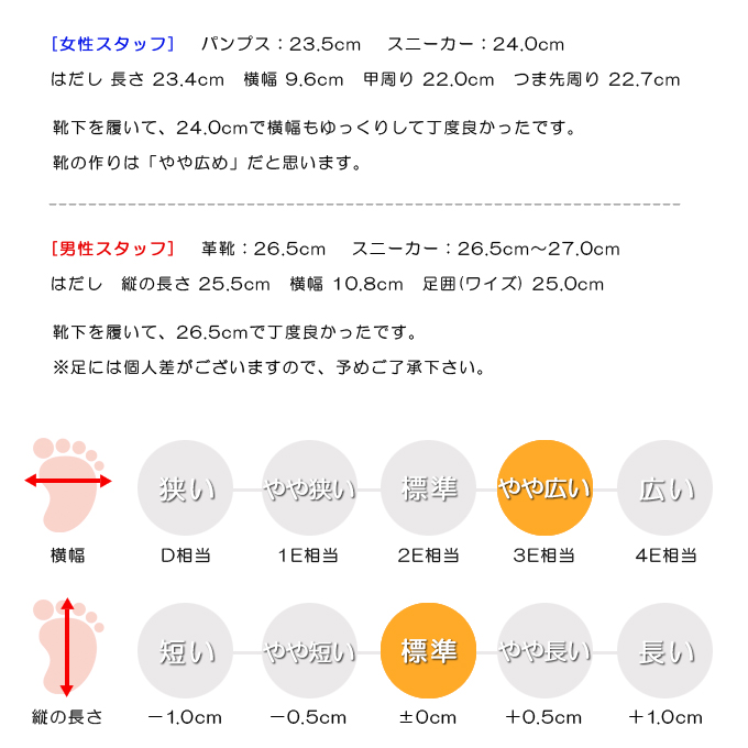 スタッフの感想