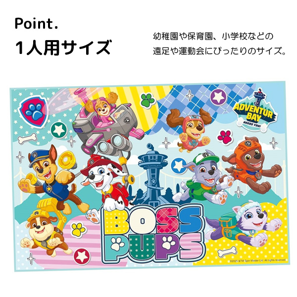 スケーター レジャーシート 子供用 敷物 1人用 ディズニー ポケモン
