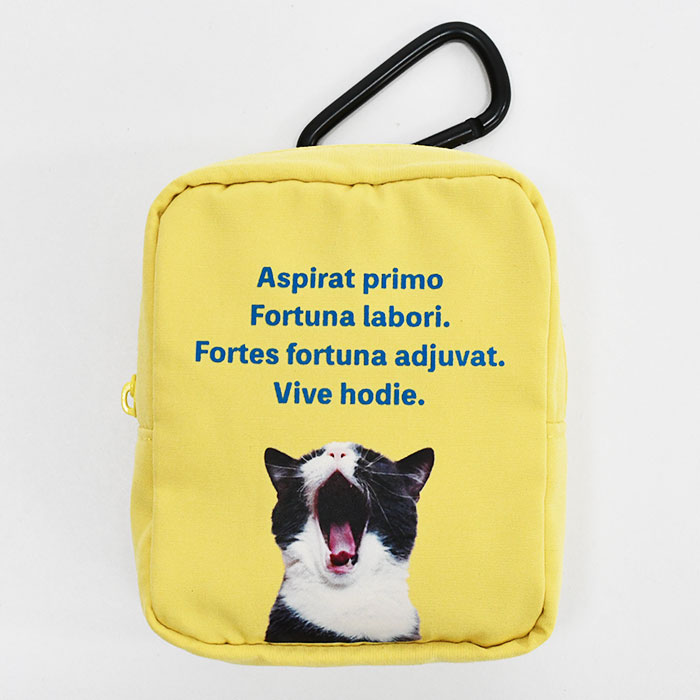 猫 ねこ 犬 いぬ ハチワレ エキゾチックショートヘア ミニチュア