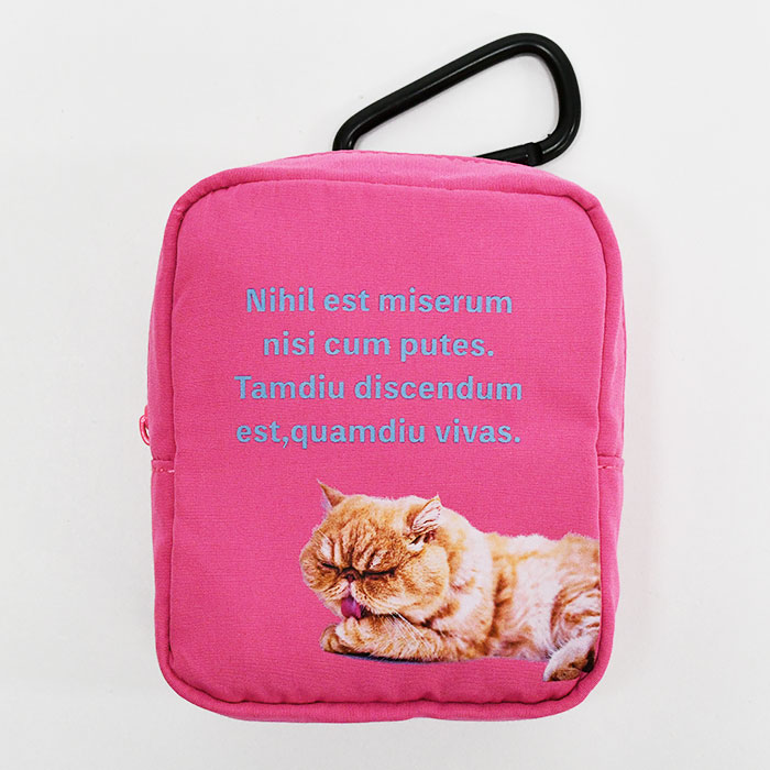 猫 ねこ 犬 いぬ ハチワレ エキゾチックショートヘア ミニチュア