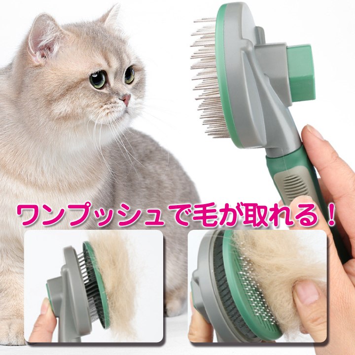sn-grooming1p-02.jpg