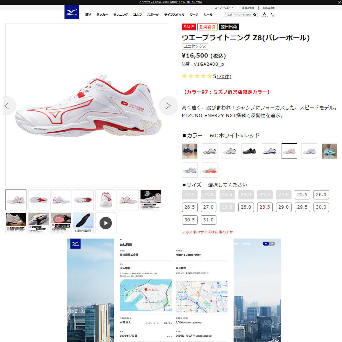 MIZUNO（ミズノ） （メンズ、レディース）バレーボールシューズ