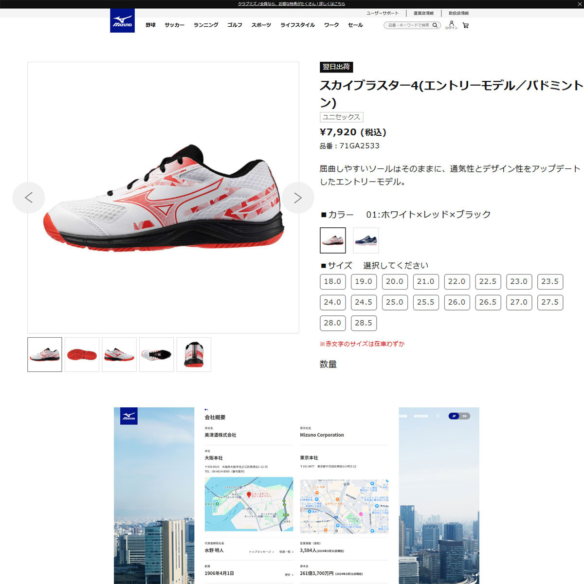 MIZUNO（ミズノ） （メンズ、レディース）バドミントンシューズ スカイ