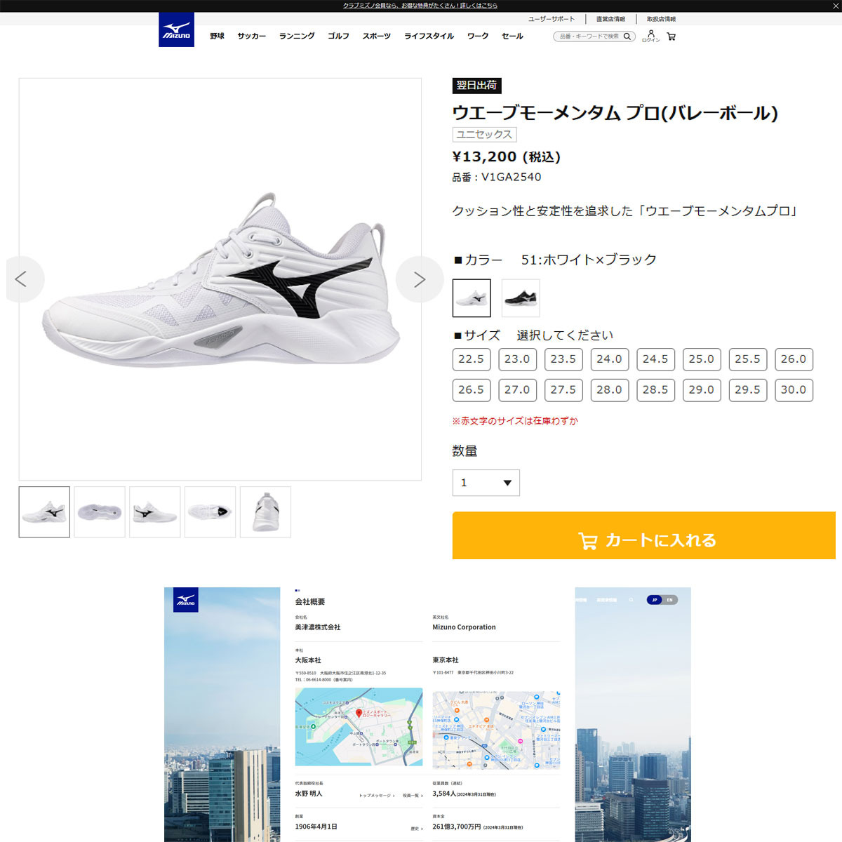 MIZUNO（ミズノ） （メンズ、レディース）バレーボールシューズ