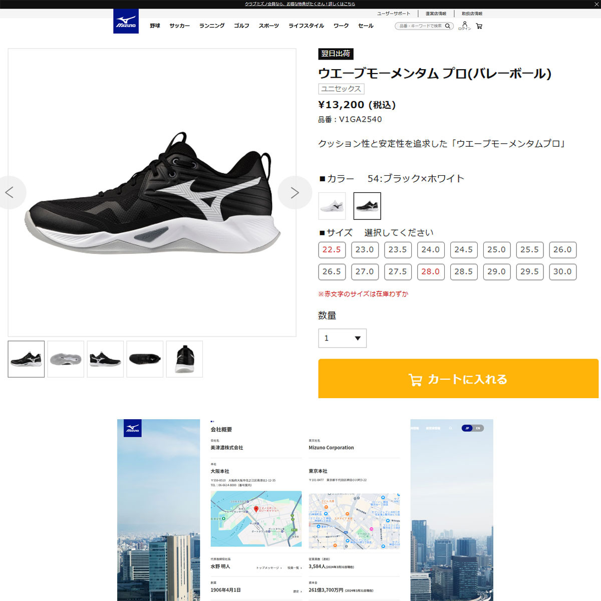 MIZUNO（ミズノ） 爆買 （メンズ、レディース）バレーボールシューズ