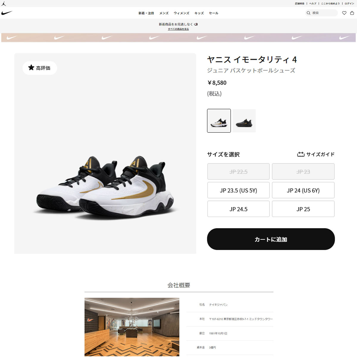 NIKE（ナイキ） （キッズ）ジュニアバスケットシューズ バッシュ