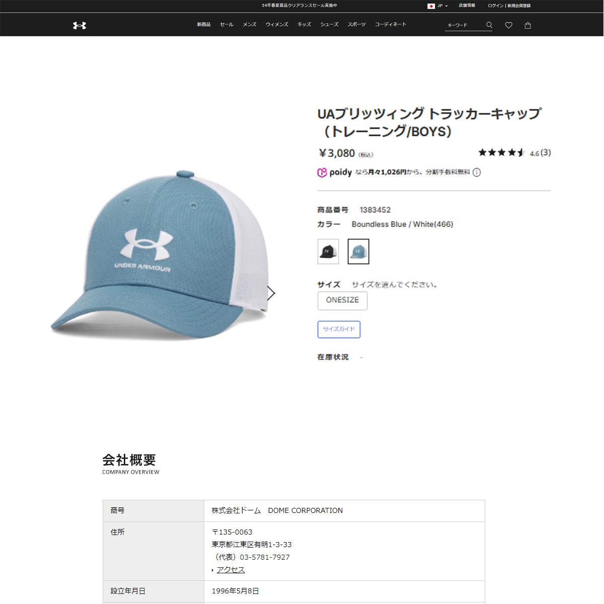 UNDER ARMOUR（アンダーアーマー） （キッズ）ジュニア ブリッツィング