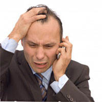 フィーバーフュー/ナツシロギク（夏白菊）エキス 400mg