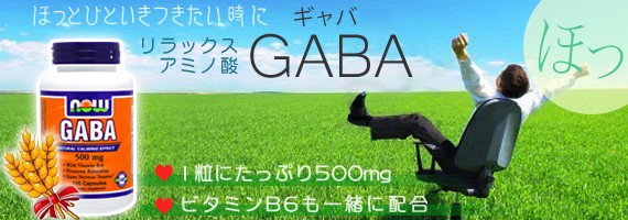 ギャバ GABA（ガンマアミノ酪酸） 500mg ＋B6 100粒