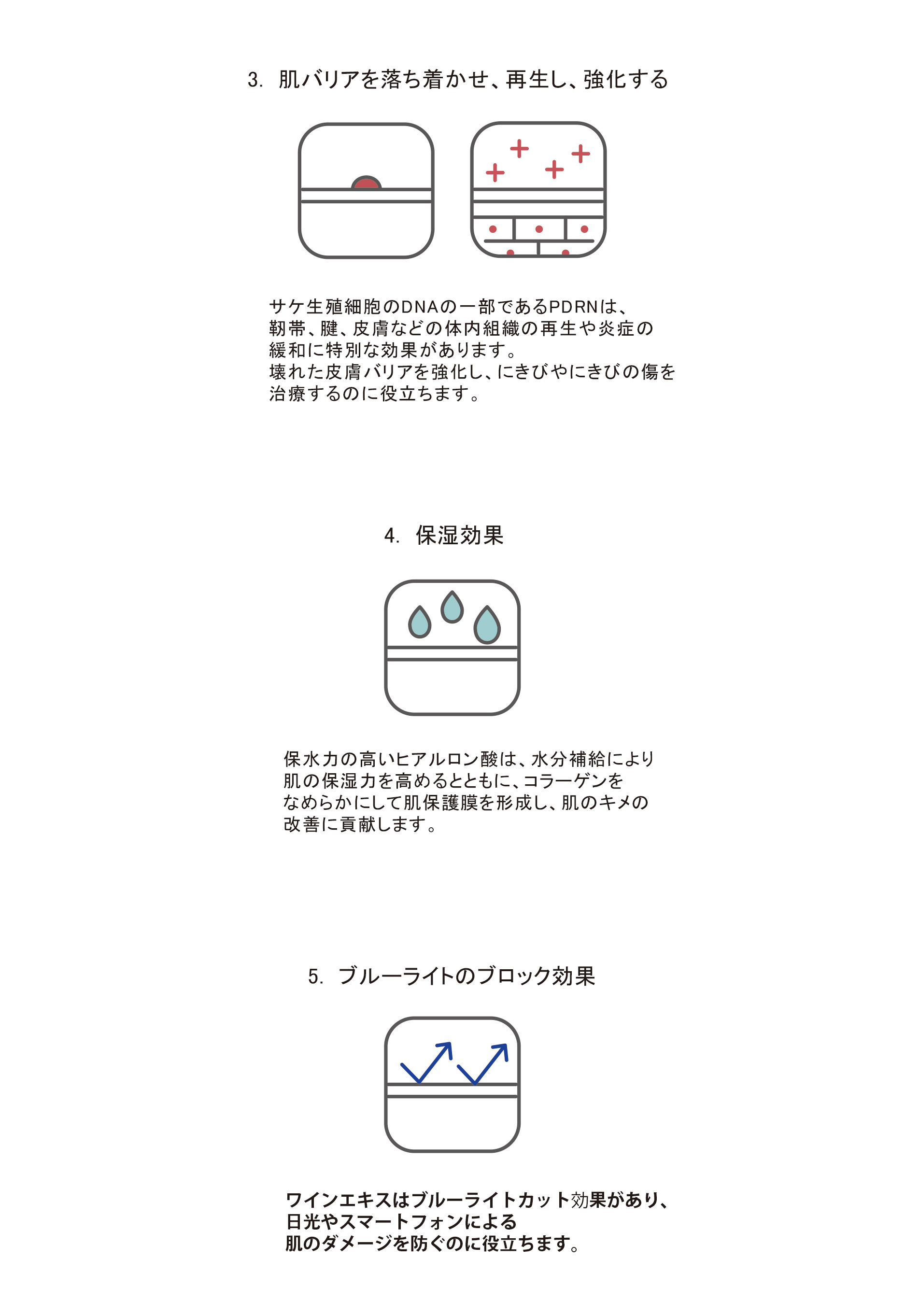 使用期限2024年6月10日】ラションブ ラパンクリーム 35g La ChoｍB