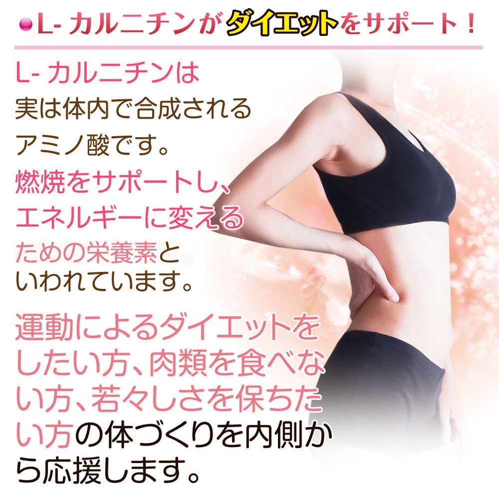 燃焼ダイエット ダイエットサプリ L-カルニチン カプサイシン ギムネマエキス末 香辛料抽出物 α-リポ酸 コエンザイムQ10