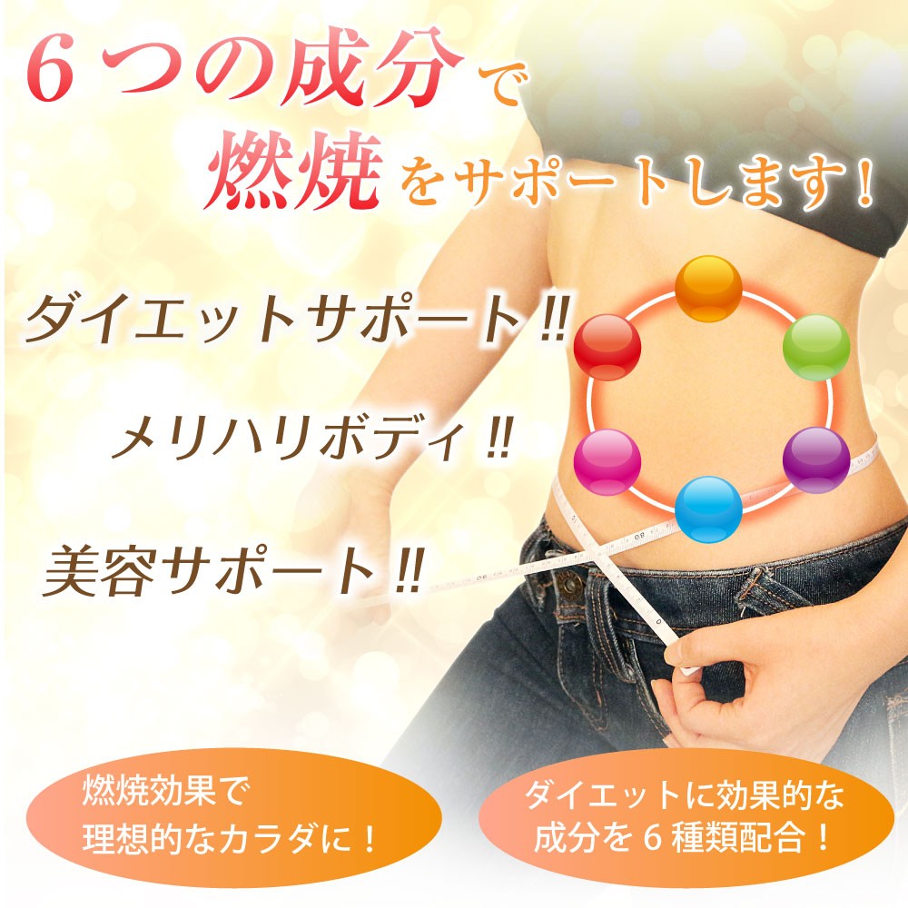 燃焼ダイエット ダイエットサプリ L-カルニチン カプサイシン ギムネマエキス末 香辛料抽出物 α-リポ酸 コエンザイムQ10