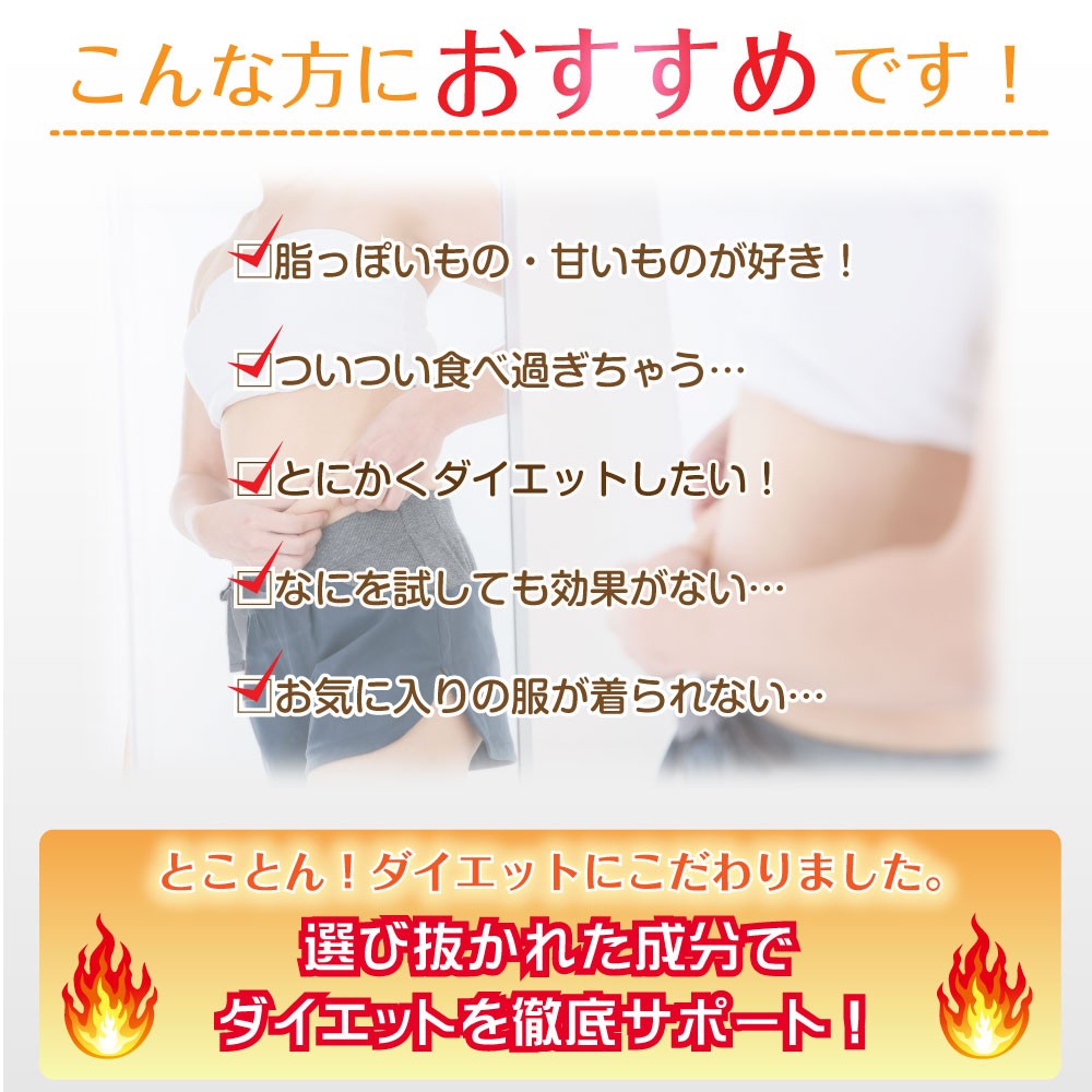 燃焼ダイエット ダイエットサプリ L-カルニチン カプサイシン ギムネマエキス末 香辛料抽出物 α-リポ酸 コエンザイムQ10