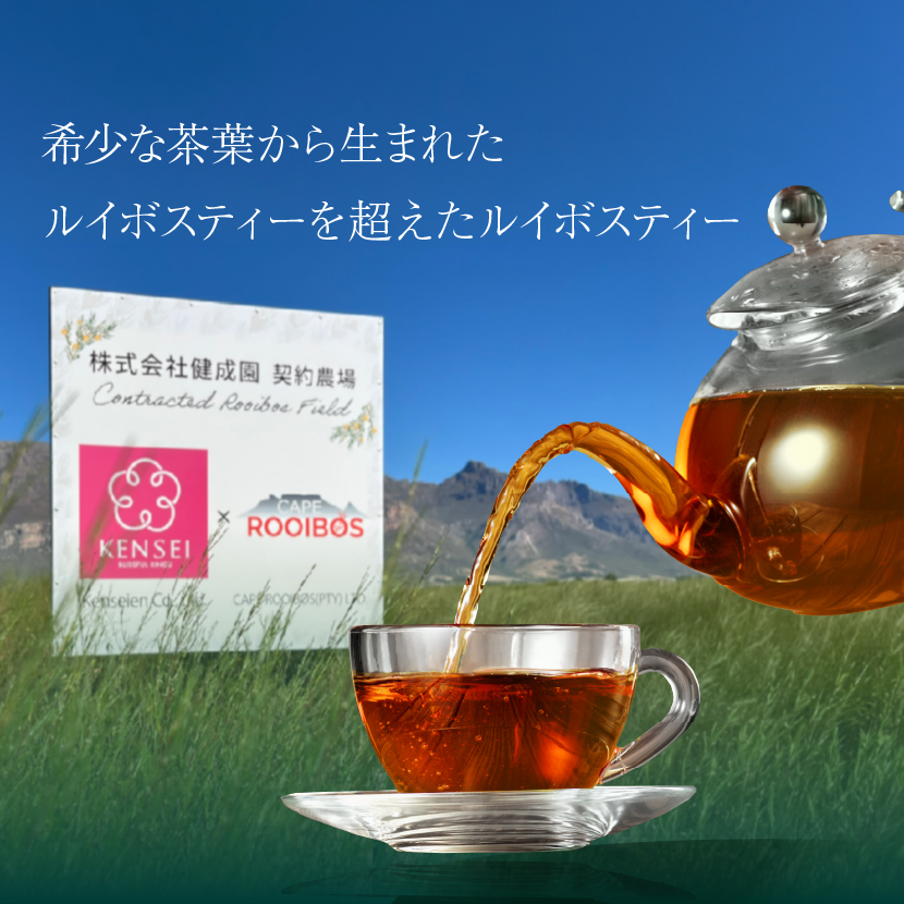 南アフリカから直接輸入した希少なオーガニック グリーンルイボスティー