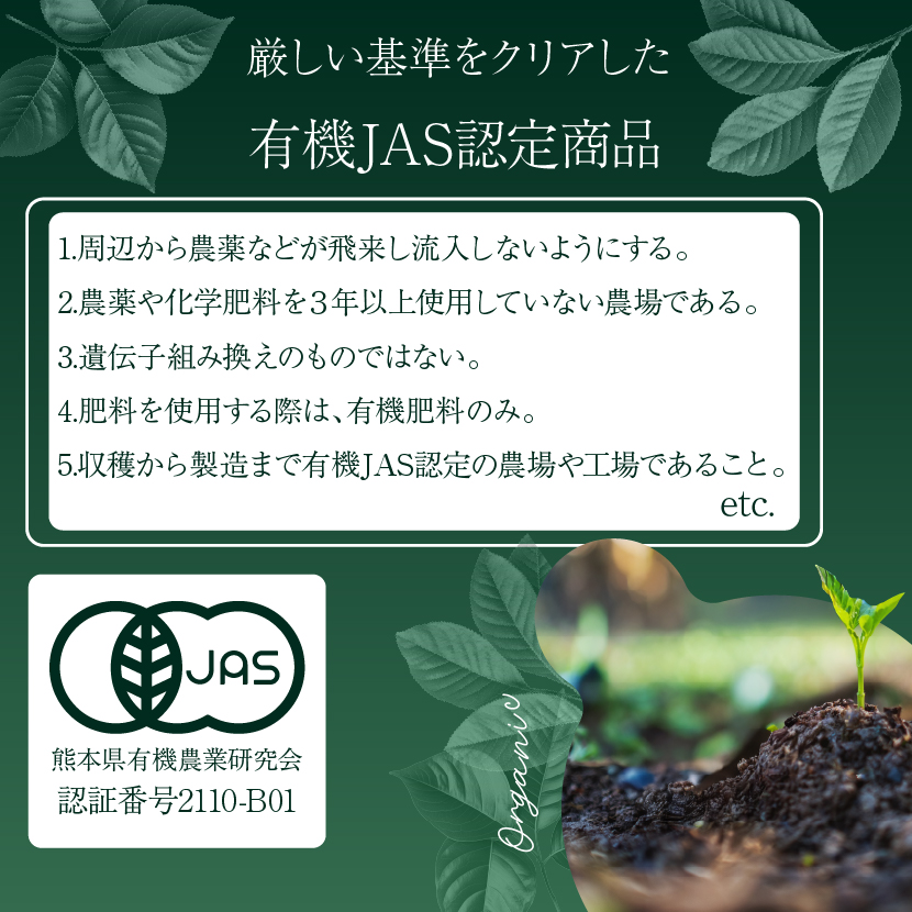 有機JAS認証商品のオーガニック グリーンルイボスティー ノンカフェインの有機ルイボス茶