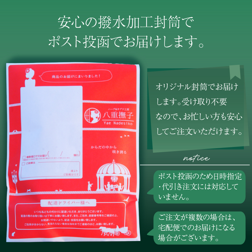 撥水加工の封筒でお届けするオーガニック グリーンルイボスティー 送料無料 ポスト投函対応