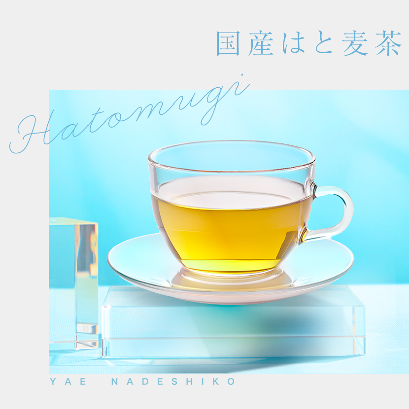 ハトムギ茶 国産 ノンカフェイン ティーバッグ 美容 健康 イメージ