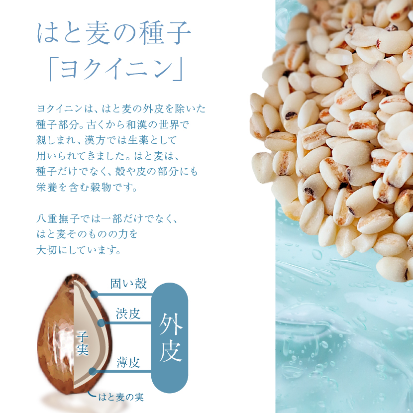 ハトムギ茶 ヨクイニンとは 美容と健康に注目の成分