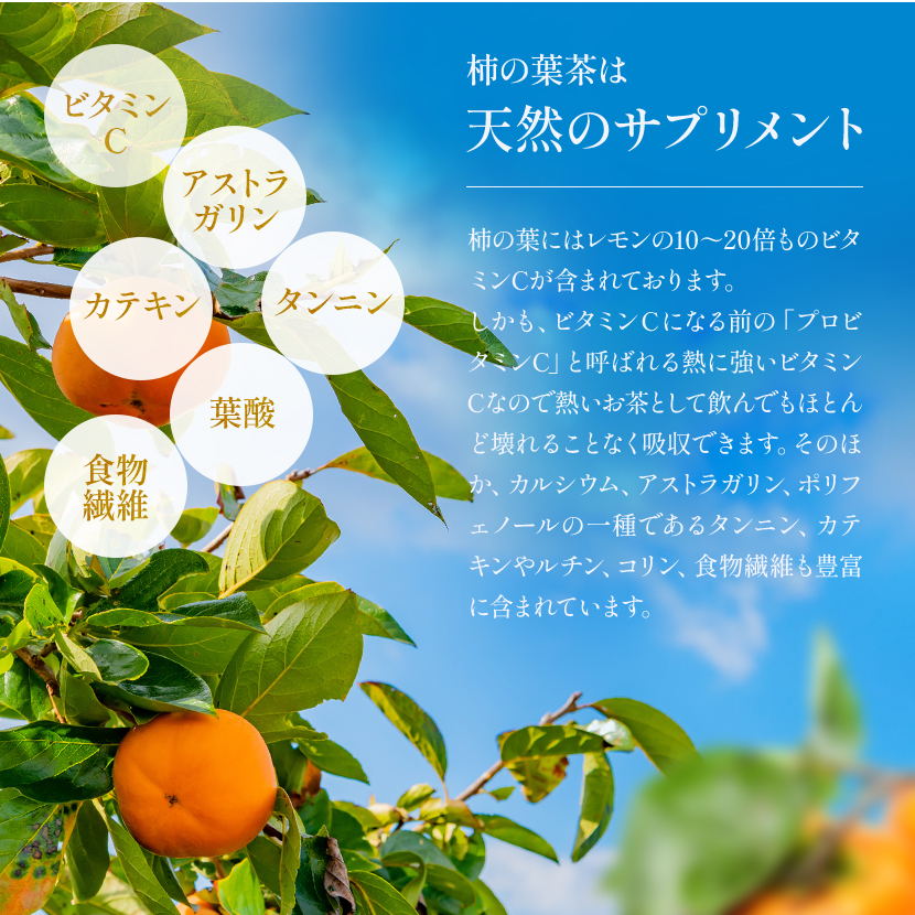 国産柿の葉茶 毎日の健康習慣におすすめのお茶