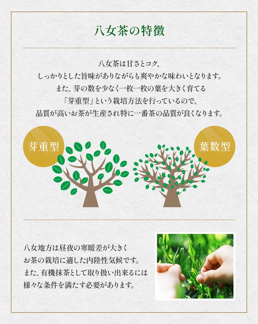 オーガニック知覧抹茶秋碾 50g 日本茶 抹茶粉末 国産 有機抹茶 パウダー｜suppleherb｜07