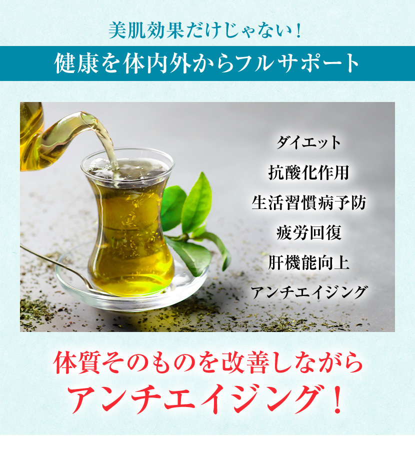 マテ茶