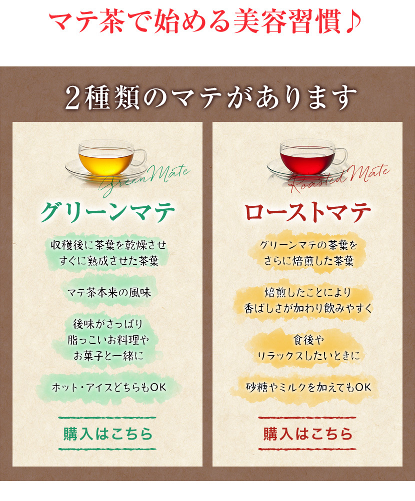 マテ茶