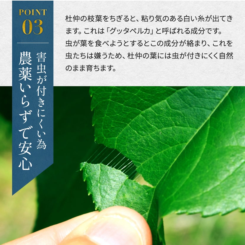 害虫が付きにくいため、農薬いらずで安心