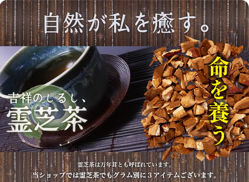 八重撫子 レイシ茶（霊芝茶/万年茸茶）15g ネコポス送料無料 : ハーブ 