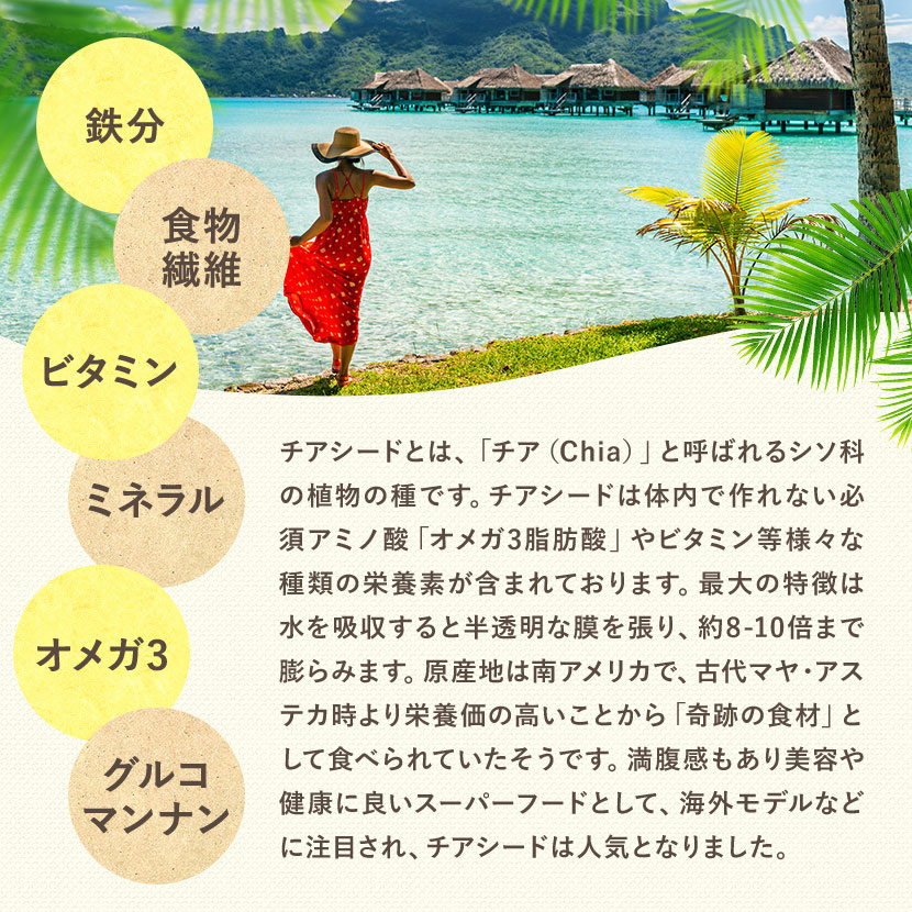 チアシードの成分